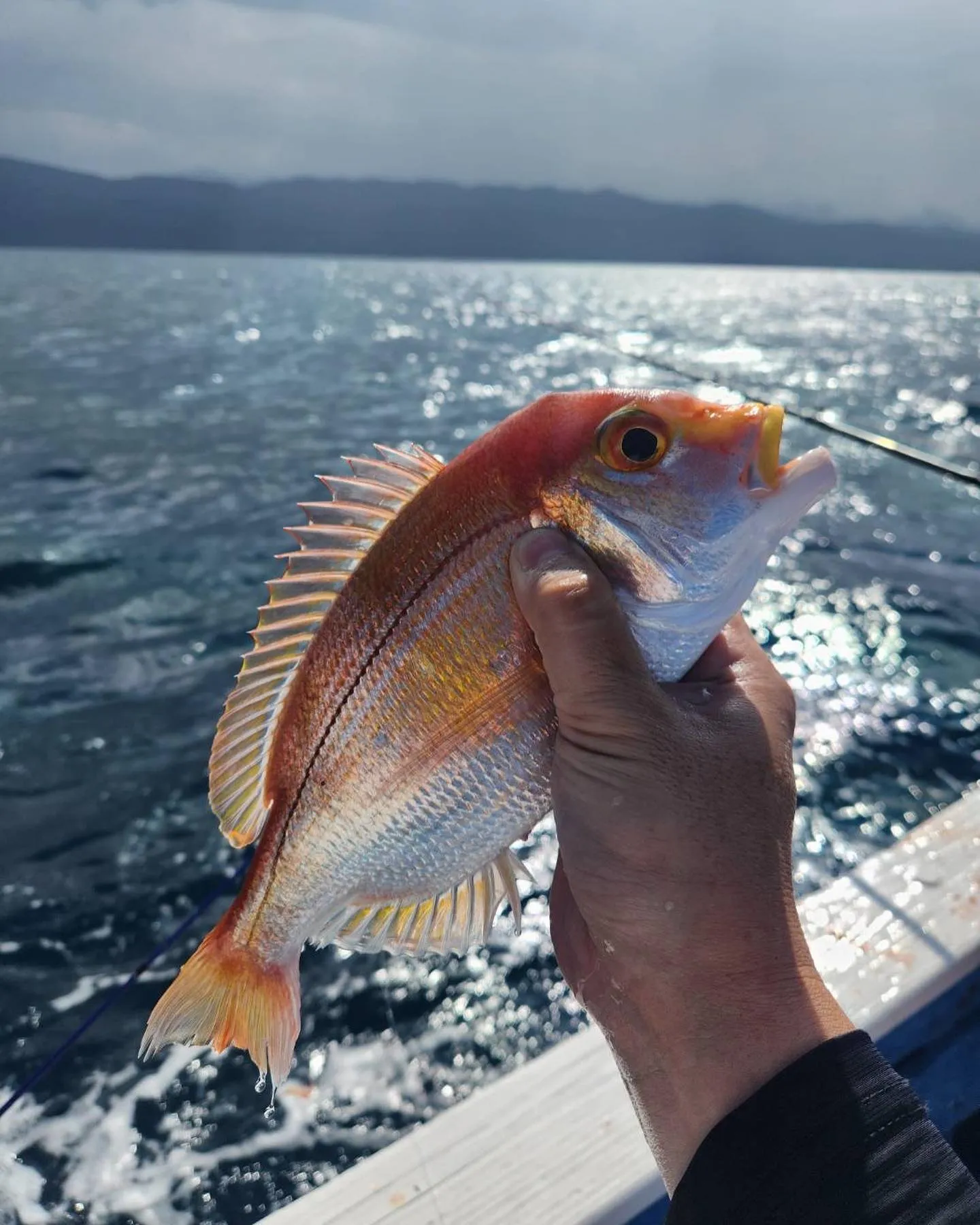 釣りイベント開催しました！