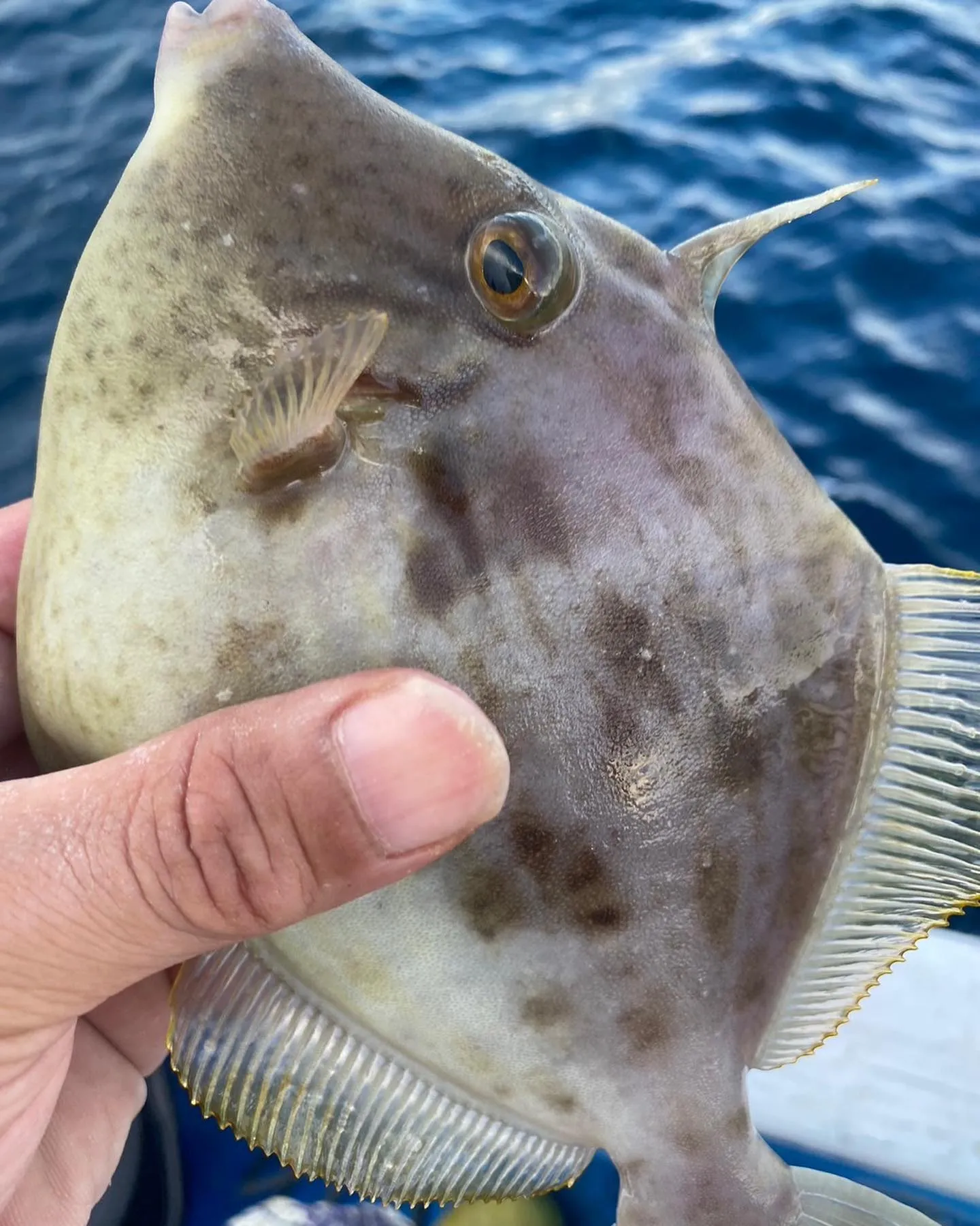 釣りイベント開催しました！