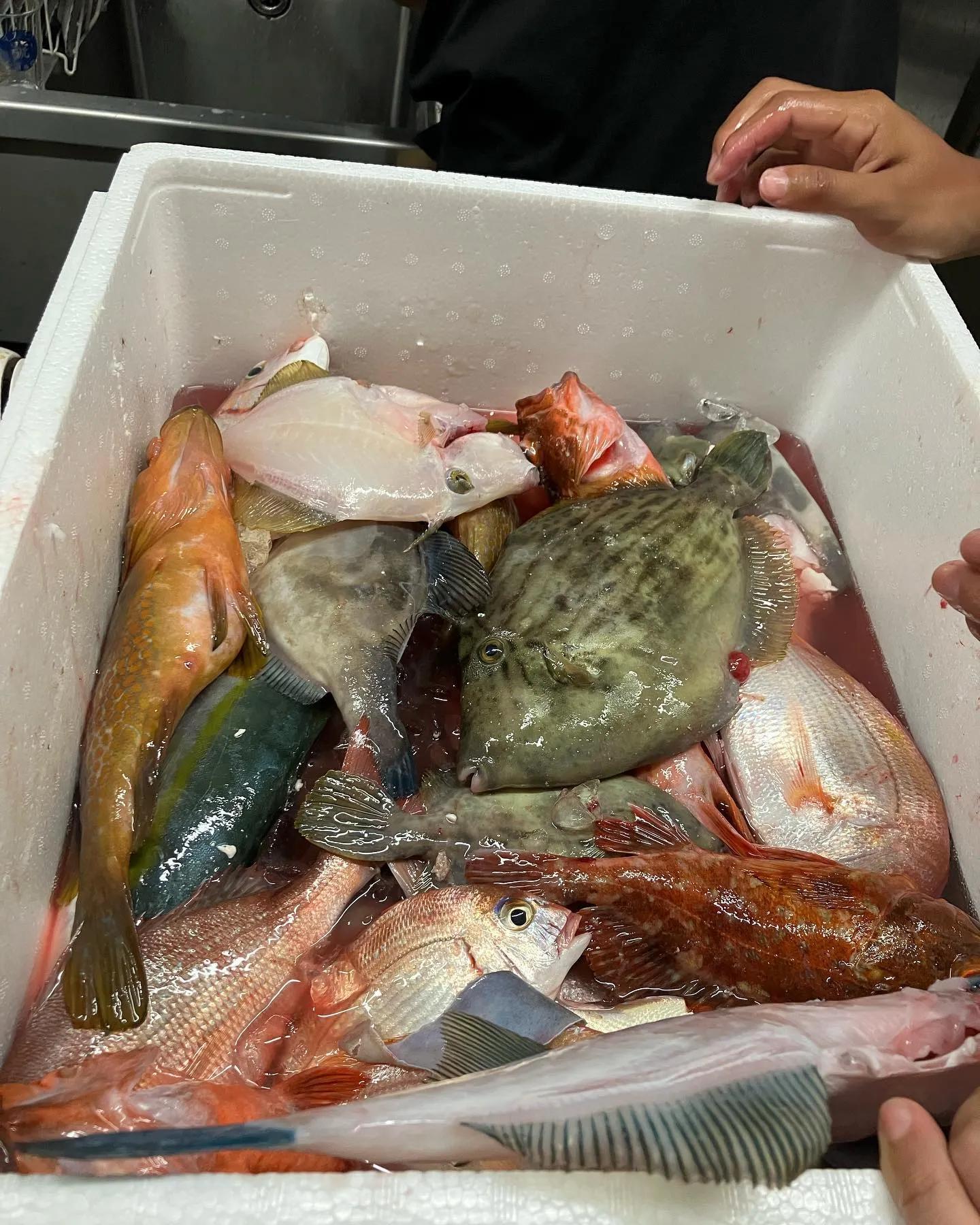 釣りイベント開催しました！