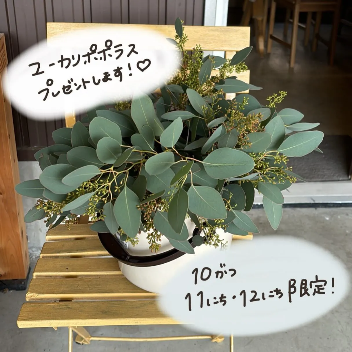 ・